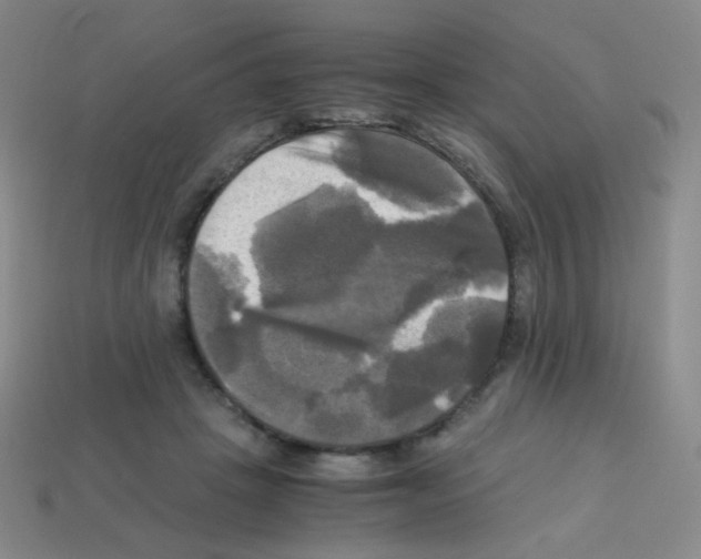 X0000113250457200910221124