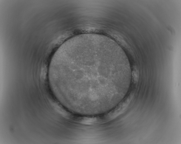 X0000113250458200910221125