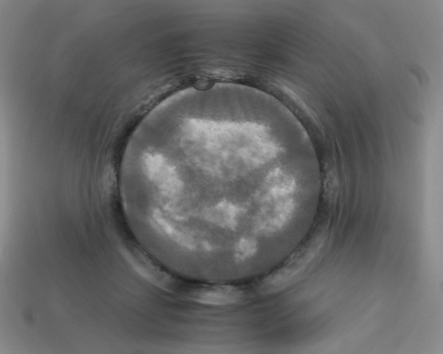 X0000113250459200910221125