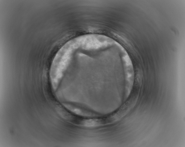 X0000113250461200910221125