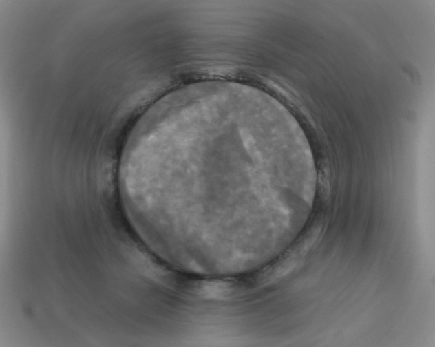 X0000113250462200910221125