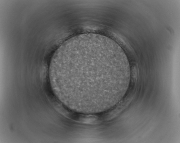 X0000113250463200910221125