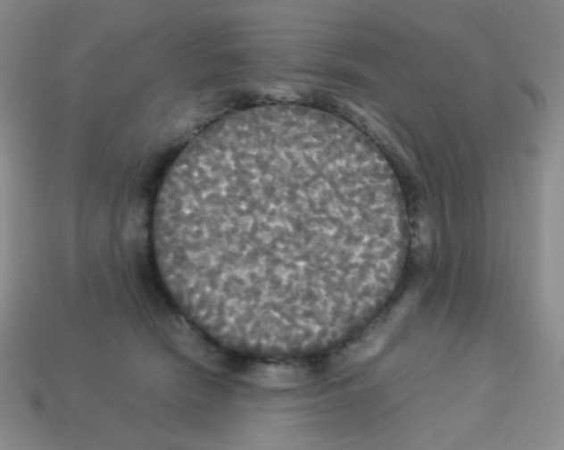 X0000113250466200910221125