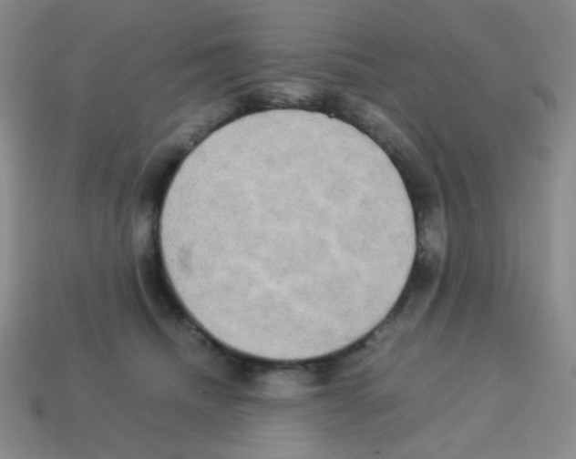 X0000113250468200910221125