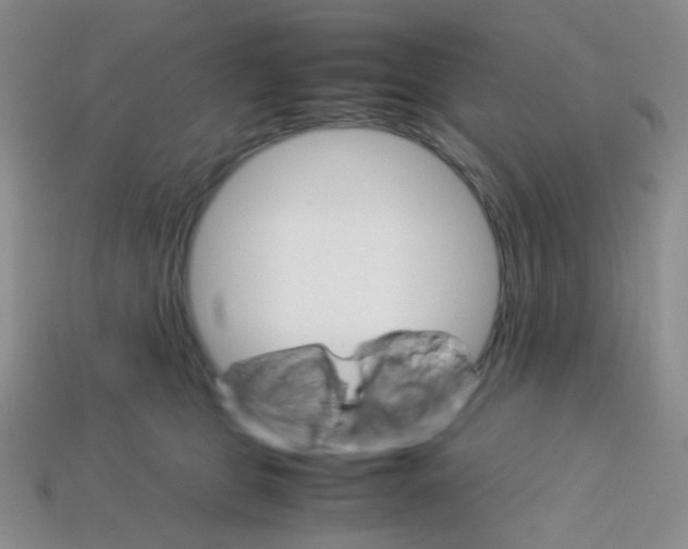 X0000113250469200910221125