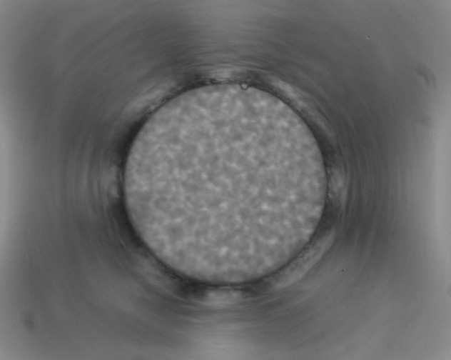 X0000113250470200910221125