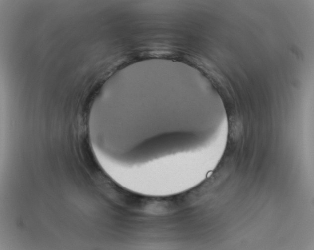 X0000113250471200910221125