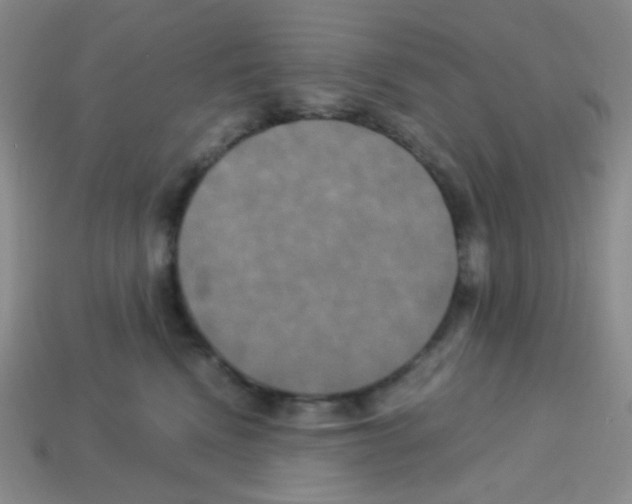 X0000113250472200910221125