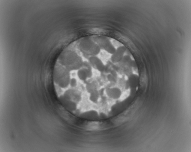 X0000113250473200910221125