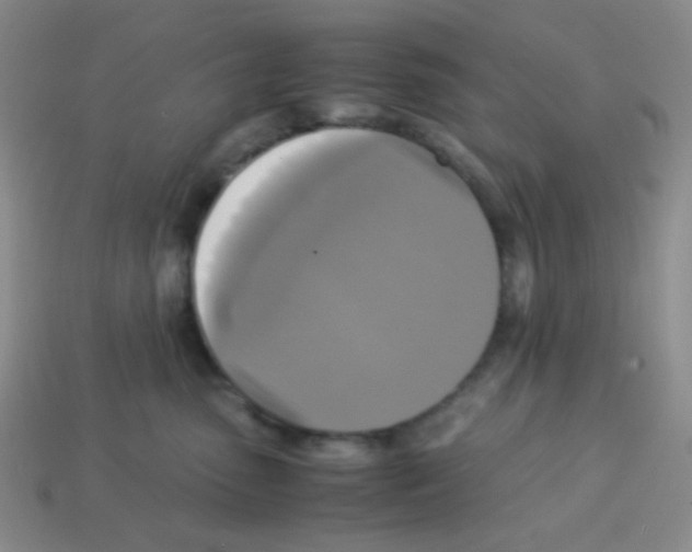 X0000113250475200910221125