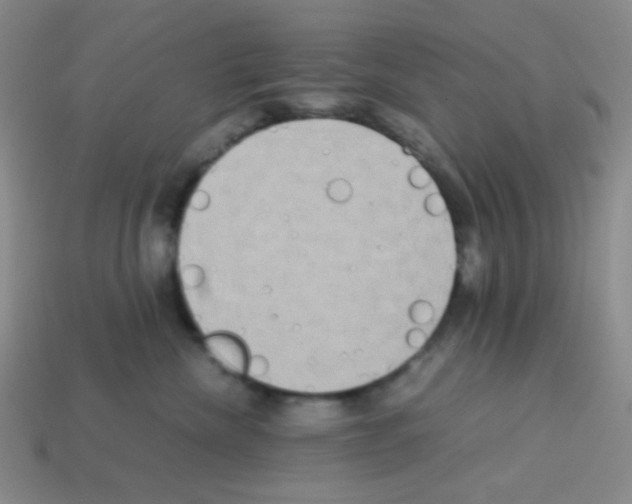 X0000113250476200910221125