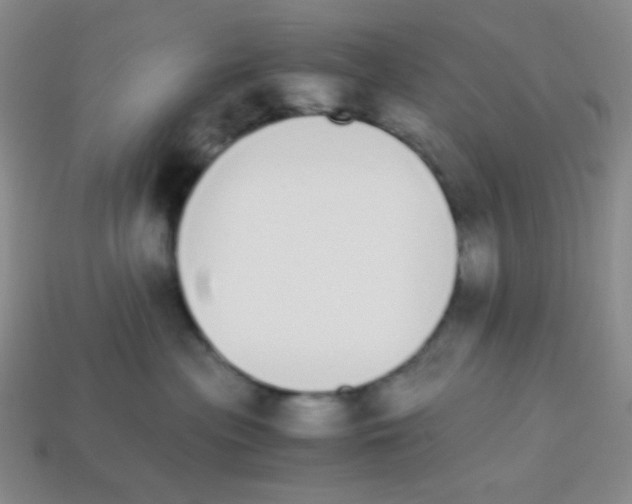 X0000113250477200910221125