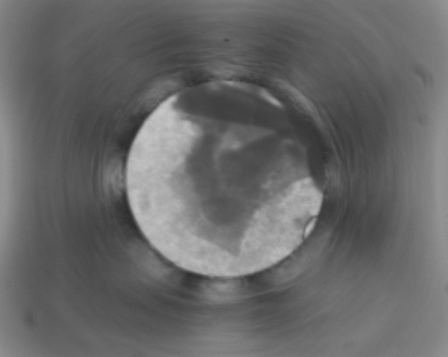 X0000113250479200910221125