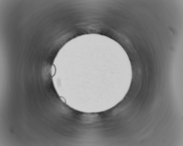 X0000113250480200910221125