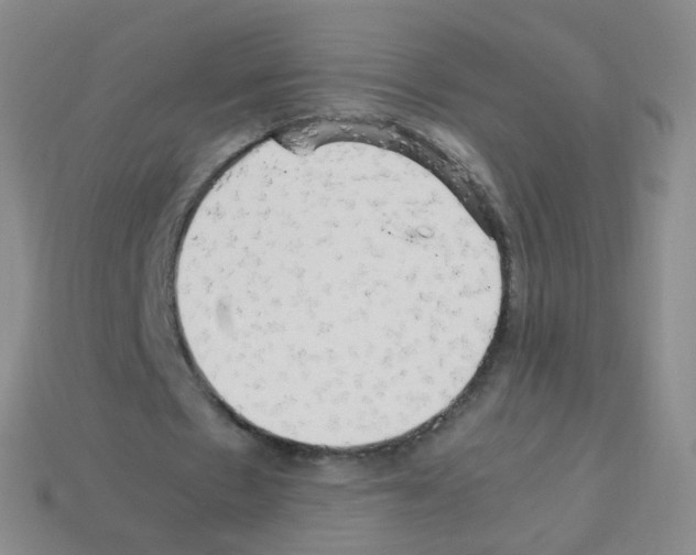 X0000113250481200910221124