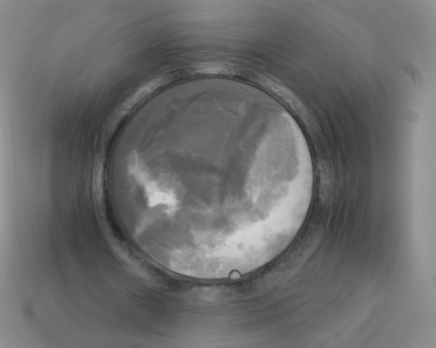 X0000113250482200910221124