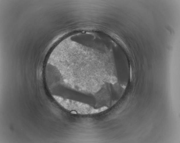 X0000113250483200910221124