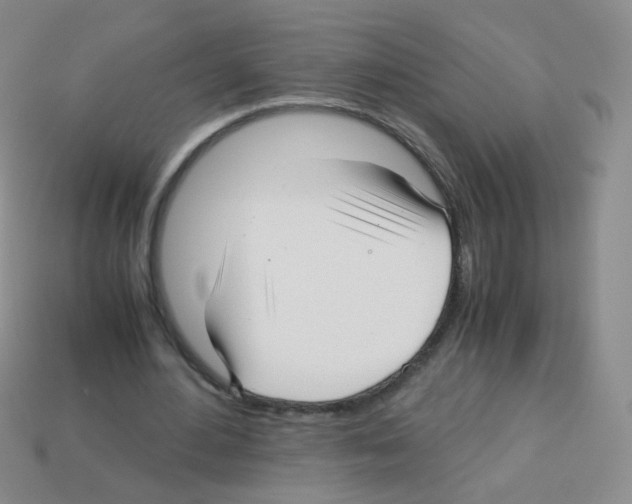 X0000113250484200910221124