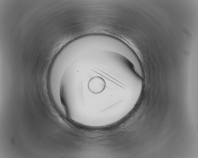 X0000113250485200910221124