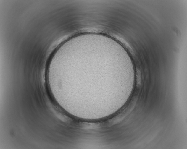 X0000113250486200910221124