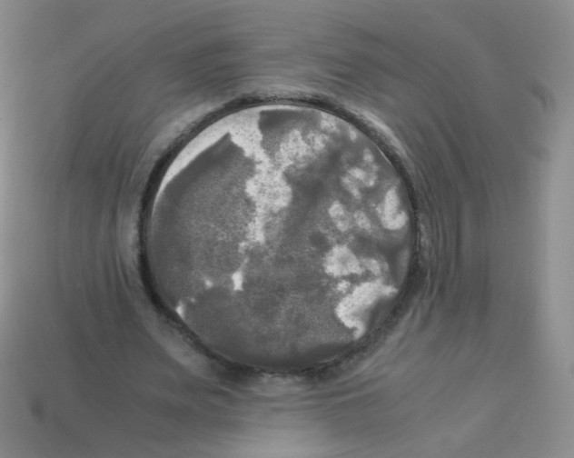 X0000113250487200910221124