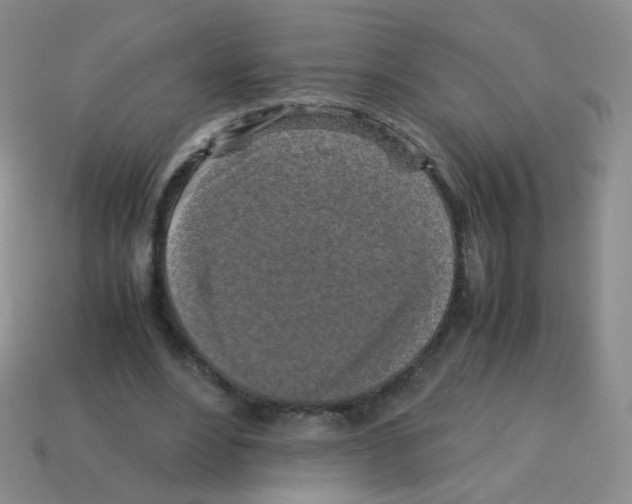 X0000113250488200910221124