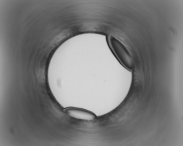 X0000113250489200910221124