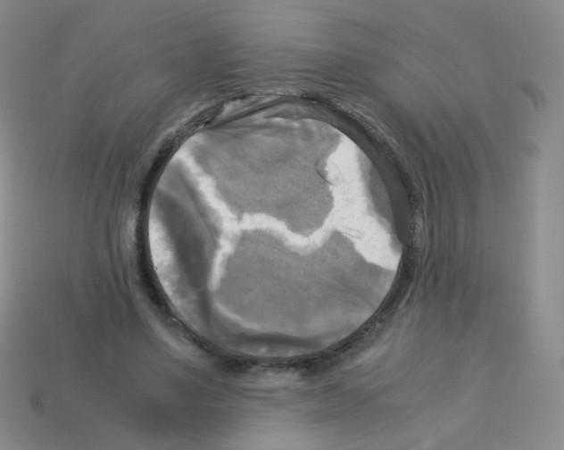 X0000113250491200910221124