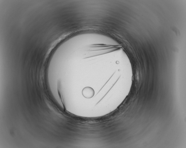 X0000113250492200910221124