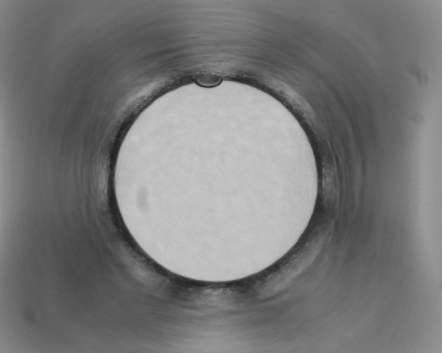 X0000113250493200910221124