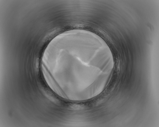 X0000113250494200910221124