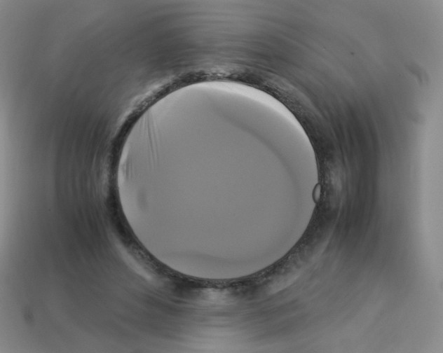 X0000113250496200910221124