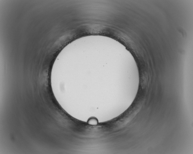 X0000113250497200910221124