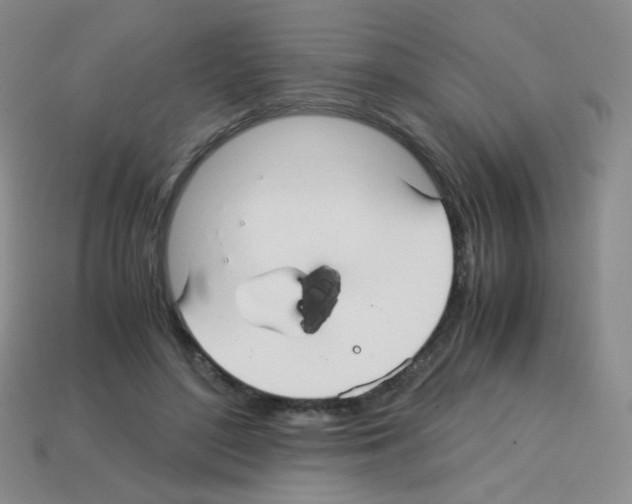 X0000113250500200910221124