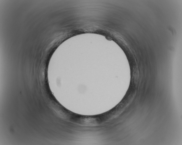 X0000113250501200910221124