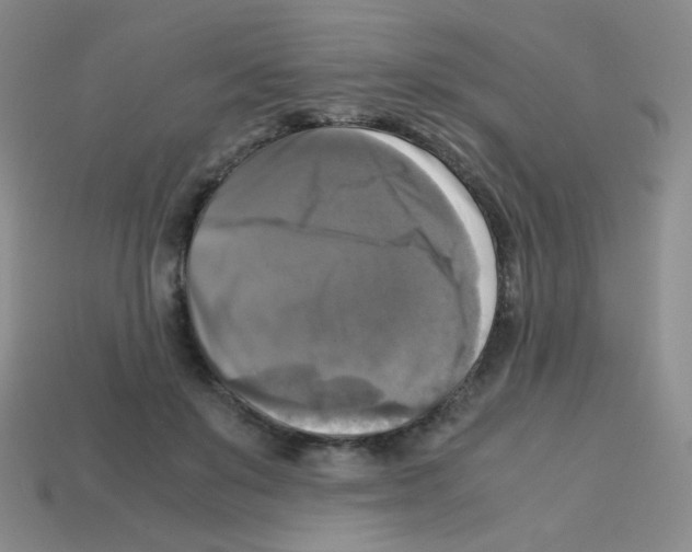 X0000113250503200910221124