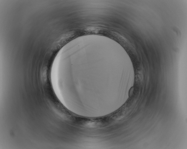 X0000113250504200910221124