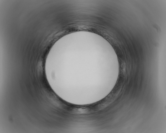 X0000113250506200910221124