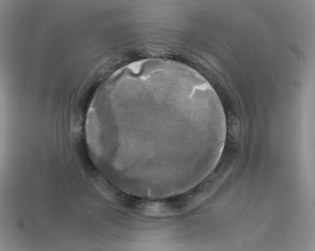 X0000113250507200910221124