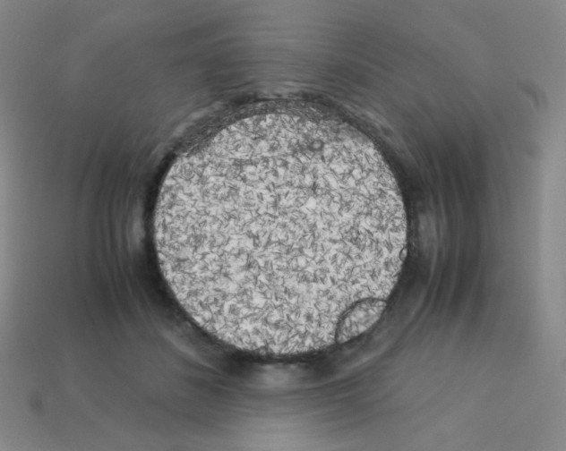 X0000113250508200910221124