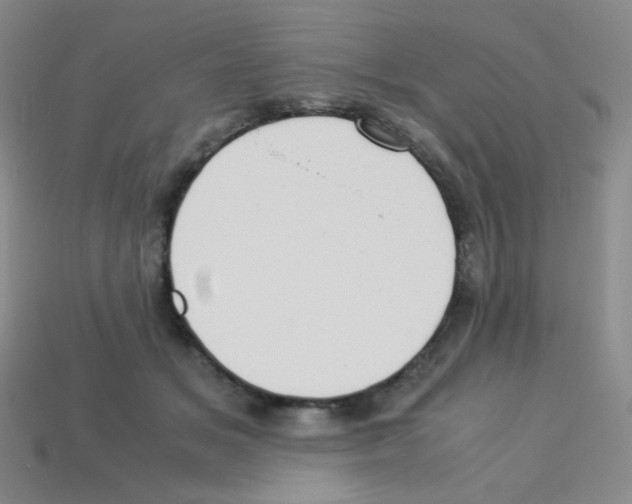 X0000113250509200910221124