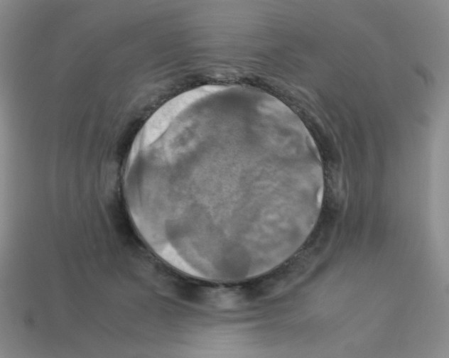 X0000113250511200910221124