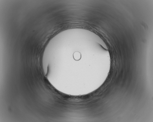 X0000113250512200910221124