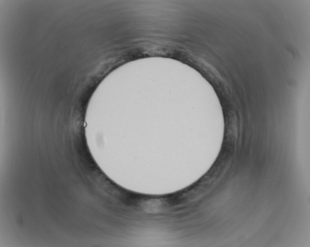 X0000113250513200910221124