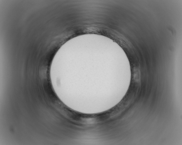 X0000113250514200910221124