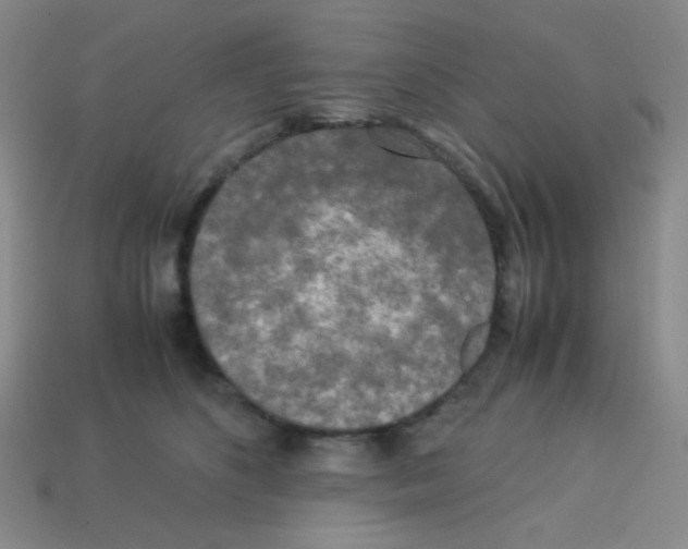 X0000113250516200910221124