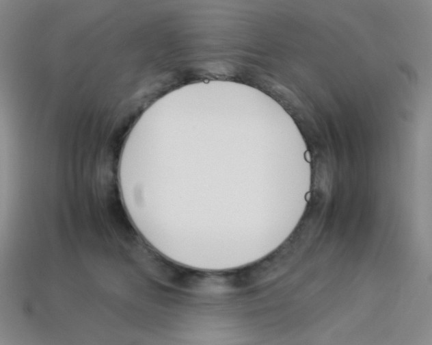 X0000113250518200910221124