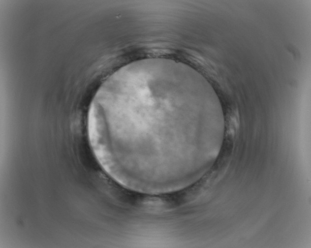 X0000113250519200910221124