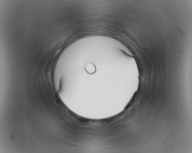 X0000113250520200910221124