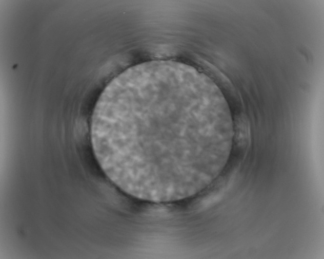 X0000113250523200910221124